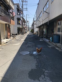雨