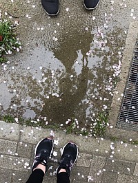 相談員